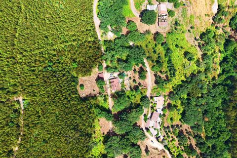 Grond in Monchique, Faro, Monchique - € 19.000 | Ref: JE033 MO - foto 11
