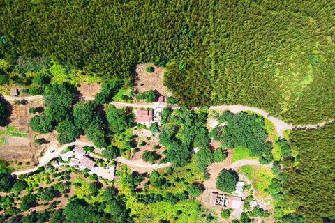 Grond in Monchique, Faro, Monchique - € 19.000 | Ref: JE033 MO - foto 12
