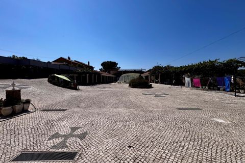 Villa i Tomar, Santarem, Tomar - € 1.250.000 | Ref: TL059 - foto 26