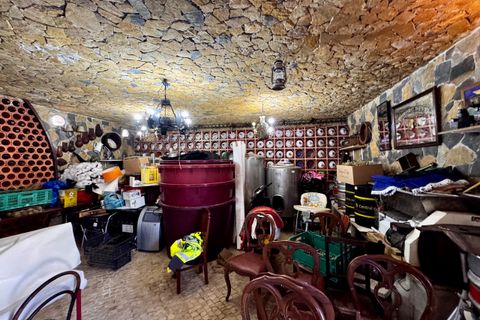 Villa i Tomar, Santarem, Tomar - € 1.250.000 | Ref: TL059 - foto 29