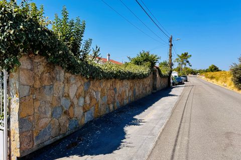 Villa i Tomar, Santarem, Tomar - € 1.250.000 | Ref: TL059 - foto 42