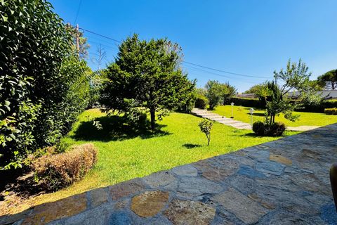Villa i Tomar, Santarem, Tomar - € 1.250.000 | Ref: TL059 - foto 43