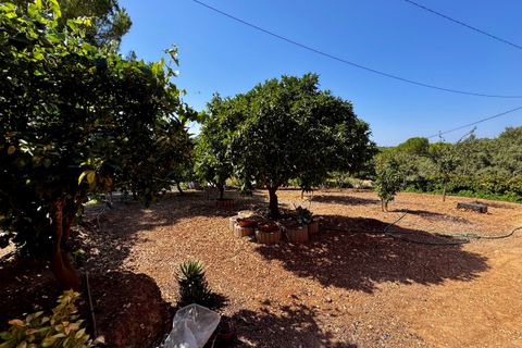 Villa i Tomar, Santarem, Tomar - € 1.250.000 | Ref: TL059 - foto 45