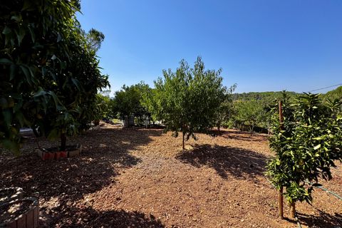 Villa i Tomar, Santarem, Tomar - € 1.250.000 | Ref: TL059 - foto 46