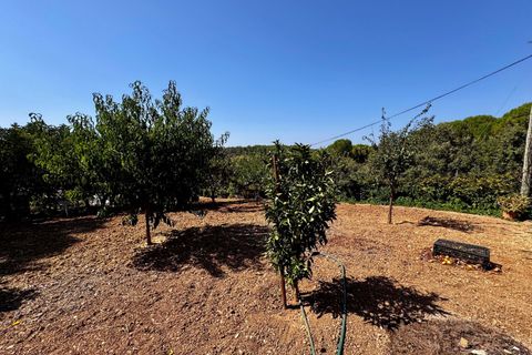 Villa i Tomar, Santarem, Tomar - € 1.250.000 | Ref: TL059 - foto 47