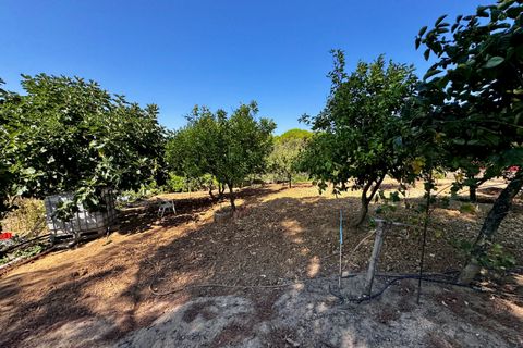 Villa i Tomar, Santarem, Tomar - € 1.250.000 | Ref: TL059 - foto 48