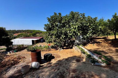Villa i Tomar, Santarem, Tomar - € 1.250.000 | Ref: TL059 - foto 49