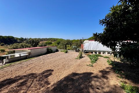 Villa i Tomar, Santarem, Tomar - € 1.250.000 | Ref: TL059 - foto 50