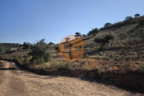 Helårsgrund i Castro Marim, Faro, Castro Marim - € 64.000 | Ref: SU-CS-TR-93568 - foto 17
