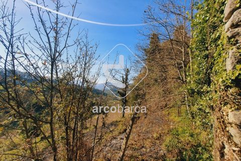 Landejendom i Arcos de Valdevez, Viana do Castelo, Arcos de Valdevez - € 70.000 | Ref: AV5015 - foto 3