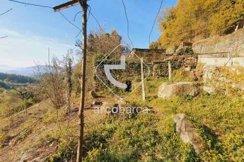 Landejendom i Arcos de Valdevez, Viana do Castelo, Arcos de Valdevez - € 70.000 | Ref: AV5015 - foto 6
