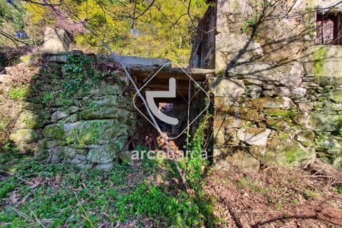 Landejendom i Arcos de Valdevez, Viana do Castelo, Arcos de Valdevez - € 70.000 | Ref: AV5015 - foto 13