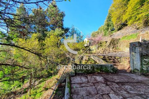 Landejendom i Arcos de Valdevez, Viana do Castelo, Arcos de Valdevez - € 70.000 | Ref: AV5015 - foto 18