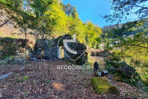 Landejendom i Arcos de Valdevez, Viana do Castelo, Arcos de Valdevez - € 70.000 | Ref: AV5015 - foto 22