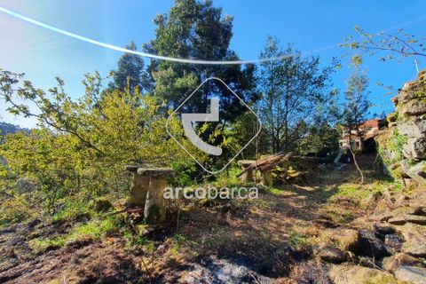 Landejendom i Arcos de Valdevez, Viana do Castelo, Arcos de Valdevez - € 70.000 | Ref: AV5015 - foto 23