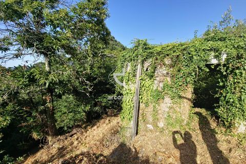 Farm i Ponte da Barca, Viana do Castelo, Ponte da Barca - € 59.500 | Ref: AV6477 - foto 2