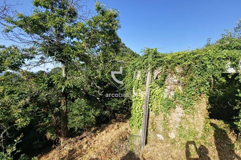 Farm i Ponte da Barca, Viana do Castelo, Ponte da Barca - € 59.500 | Ref: AV6477 - foto 4