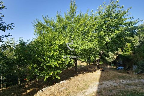 Farm i Ponte da Barca, Viana do Castelo, Ponte da Barca - € 59.500 | Ref: AV6477 - foto 6