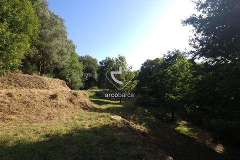 Farm i Ponte da Barca, Viana do Castelo, Ponte da Barca - € 59.500 | Ref: AV6477 - foto 9