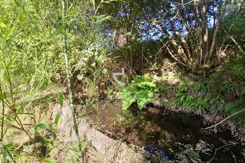 Farm i Ponte da Barca, Viana do Castelo, Ponte da Barca - € 59.500 | Ref: AV6477 - foto 10