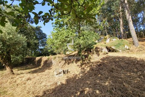 Farm i Ponte da Barca, Viana do Castelo, Ponte da Barca - € 59.500 | Ref: AV6477 - foto 12