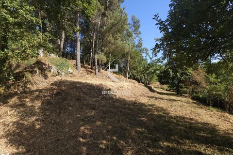 Farm i Ponte da Barca, Viana do Castelo, Ponte da Barca - € 59.500 | Ref: AV6477 - foto 13