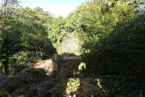 Farm i Ponte da Barca, Viana do Castelo, Ponte da Barca - € 59.500 | Ref: AV6477 - foto 14