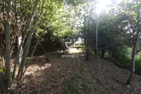 Farm i Ponte da Barca, Viana do Castelo, Ponte da Barca - € 59.500 | Ref: AV6477 - foto 15