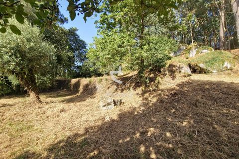 Farm i Ponte da Barca, Viana do Castelo, Ponte da Barca - € 59.500 | Ref: AV6477 - foto 16