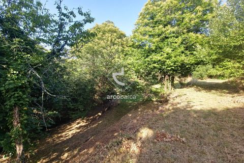 Farm i Ponte da Barca, Viana do Castelo, Ponte da Barca - € 59.500 | Ref: AV6477 - foto 17
