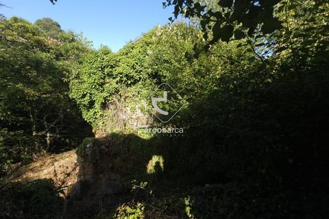 Farm i Ponte da Barca, Viana do Castelo, Ponte da Barca - € 59.500 | Ref: AV6477 - foto 18