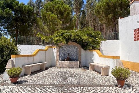 Byhus i Santarem, Santarem, Santarem - € 375.000 | Ref: 125748 - foto 29