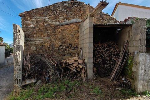 Rekkehus i Proenca-a-Nova, Castelo Branco, Proenca-a-Nova - € 25 000 | Ref: 148252 - foto 26