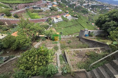 Villa a Camara de Lobos, Madeira, Camara de Lobos - € 327.000 | Ref: CT-1842/2025 - foto 19