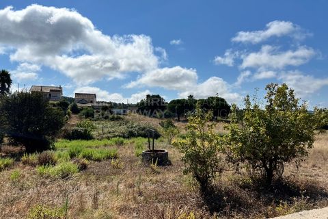 Helårsgrund i Torres Vedras, Lisbon, Torres Vedras - € 70.000 | Ref: SS_0048 - foto 3
