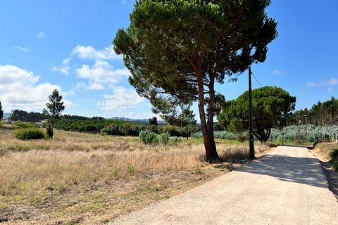 Helårsgrund i Torres Vedras, Lisbon, Torres Vedras - € 70.000 | Ref: SS_0044 - foto 4