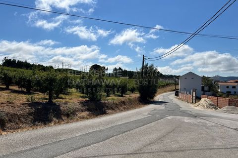 Helårsgrund i Torres Vedras, Lisbon, Torres Vedras - € 70.000 | Ref: SS_0044 - foto 7