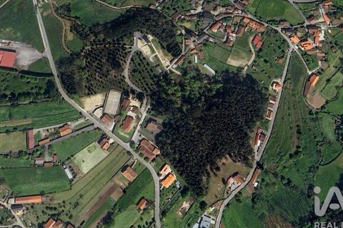 Byhus i Vouzela, Viseu, Vouzela - € 335.000 | Ref: 147632 - foto 27