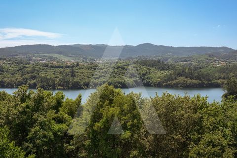 Farm i Sever do Vouga, Aveiro, Sever do Vouga - € 495.000 | Ref: 1012322/25 GL - foto 38