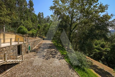Farm i Sever do Vouga, Aveiro, Sever do Vouga - € 495.000 | Ref: 1012322/25 GL - foto 41