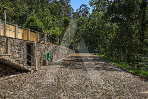 Farm i Sever do Vouga, Aveiro, Sever do Vouga - € 495.000 | Ref: 1012322/25 GL - foto 49