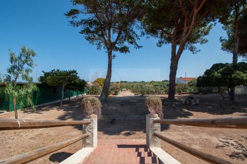 Villa a Sorso, Sassari, Sorso - € 248.000 | Ref: 13800 - foto 2