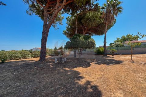 Villa a Sorso, Sassari, Sorso - € 248.000 | Ref: 13800 - foto 3