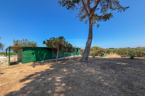 Villa a Sorso, Sassari, Sorso - € 248.000 | Ref: 13800 - foto 31