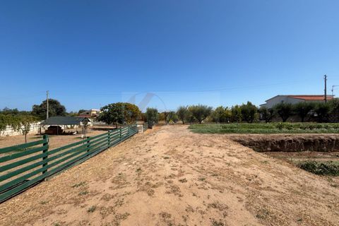 Villa a Sorso, Sassari, Sorso - € 248.000 | Ref: 13800 - foto 34