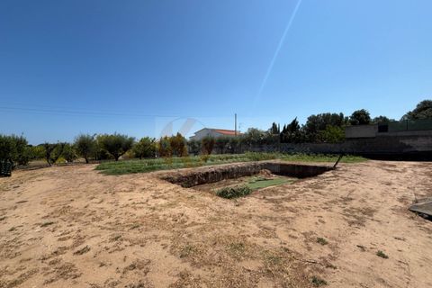 Villa a Sorso, Sassari, Sorso - € 248.000 | Ref: 13800 - foto 35