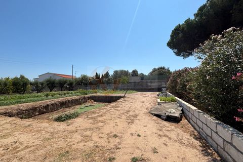 Villa a Sorso, Sassari, Sorso - € 248.000 | Ref: 13800 - foto 36