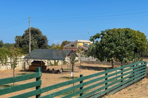 Villa a Sorso, Sassari, Sorso - € 248.000 | Ref: 13800 - foto 37