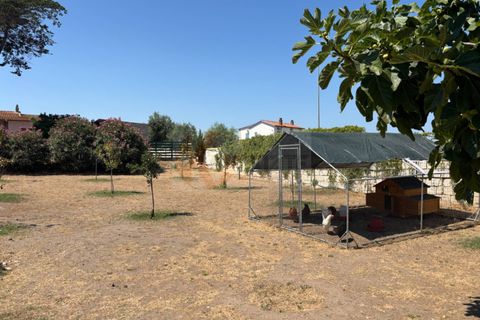 Villa a Sorso, Sassari, Sorso - € 248.000 | Ref: 13800 - foto 38