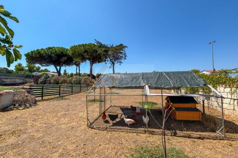 Villa a Sorso, Sassari, Sorso - € 248.000 | Ref: 13800 - foto 40